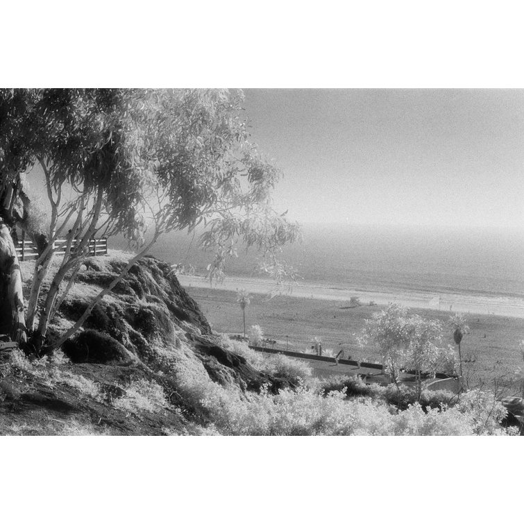 Rosecliff Heights Santa Monica Picture Frame Photograph Wayfair